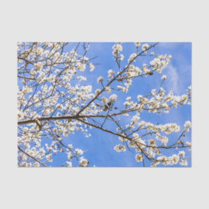 Papier Mousseline branche de floraison