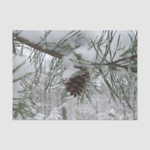 Papier Mousseline Branche des pins neigeux Photographie de la nature