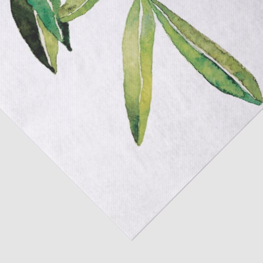 Papier Mousseline Branche d'olive aquarelle (Détail)