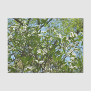 Papier Mousseline Branche of Dogwood Blossoms Spring Trees