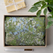 Papier Mousseline Branche of Dogwood Blossoms Spring Trees (Cadeau)