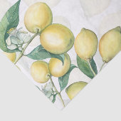 Papier Mousseline Branches de citron Blanc & Jaune Pays Rustique (Détail)