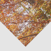 Papier Mousseline Branches de la nature d'automne Feuille orange (Détail)