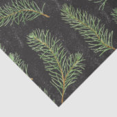 Papier Mousseline Branches de pin aquarelle sur arrière - plan noir. (Détail)