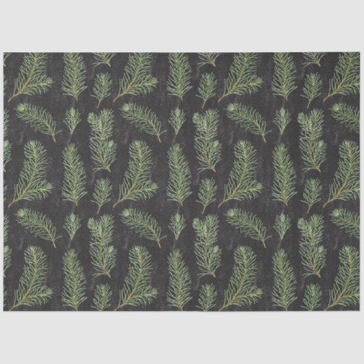 Papier Mousseline Branches de pin aquarelle sur arrière - plan noir. (Recto)