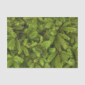 Papier Mousseline branches de pins (Recto)