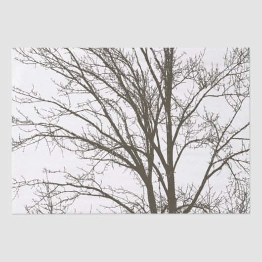 Papier Mousseline Branches rustiques de l'arbre Brown (Recto)