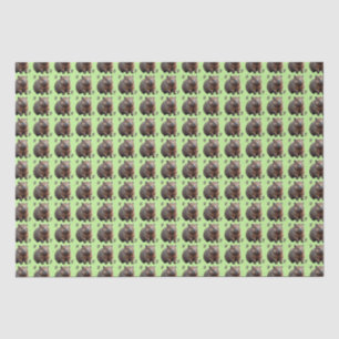 Papier Mousseline Brickwork Burrow : Une toile verte de Wombat,