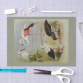 Papier Mousseline British Birds, Illustrations D'Art (Artisanat)