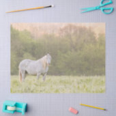 Papier Mousseline Broadfoot Mare (Artisanat)