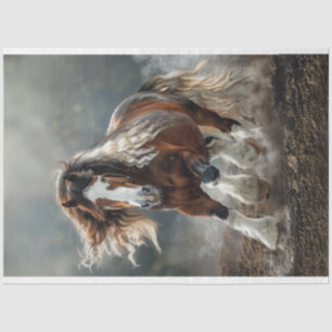 Papier Mousseline Brown Blanc Clydesdale Comme Cheval Découpage
