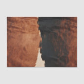 Papier Mousseline Brown Noir Noir Faux Cowhide (Recto)