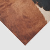 Papier Mousseline Brown Noir Noir Faux Cowhide (Détail)