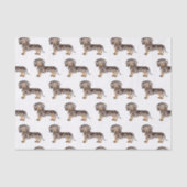 Papier Mousseline Brown & Tan Dapper Cheveux courts Motif Dachshund (Recto)