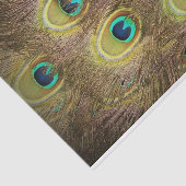 Papier Mousseline Brun et plume de paon d'or (Détail)