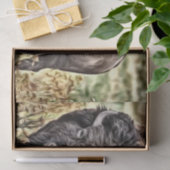 Papier Mousseline Buffle occidental Abstrait (Cadeau)