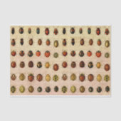 Papier Mousseline Bug d'insectes coccinelle de coccinelle (Recto)