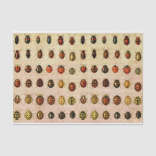 Papier Mousseline Bug d'insectes coccinelle de coccinelle