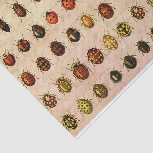 Papier Mousseline Bug d'insectes coccinelle de coccinelle (Détail)