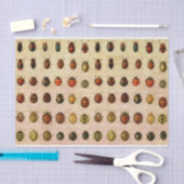 Papier Mousseline Bug d'insectes coccinelle de coccinelle (Artisanat)
