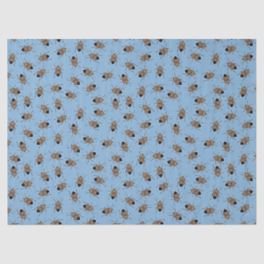 Papier Mousseline Bugs puants Brown sur motif bleu clair (Recto)