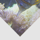 Papier Mousseline Butterflyfish jaunes et blancs de Copperband d'eau (Détail)