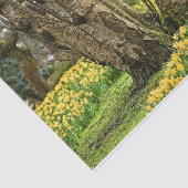 Papier Mousseline Cabine d'été Complet, Arbre ancien et Fleurs Jaune (Détail)