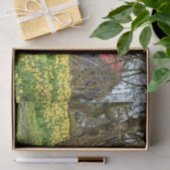 Papier Mousseline Cabine d'été Complet, Arbre ancien et Fleurs Jaune (Cadeau)