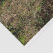 Papier Mousseline Cabine forestier 26 Découpage Papier de tissus (Détail)