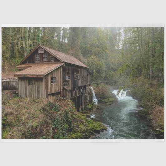 Papier Mousseline Cabine forestier 26 Découpage Papier de tissus (Recto)