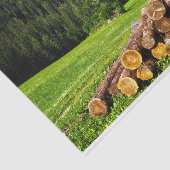 Papier Mousseline Cabine mignon dans une prairie estivale (Détail)