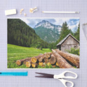 Papier Mousseline Cabine mignon dans une prairie estivale (Artisanat)