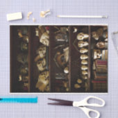 Papier Mousseline Cabinet de curiosités (Artisanat)