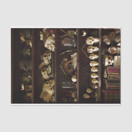 Papier Mousseline Cabinet de curiosités (Recto)