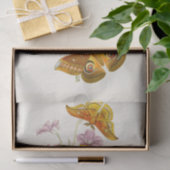 Papier Mousseline Cabinet d'Entomologie orientale Pl XIII (Cadeau)