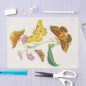 Papier Mousseline Cabinet d'Entomologie orientale Pl XIII (Artisanat)