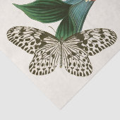 Papier Mousseline Cabinet d'Entomologie orientale Pl XLI (Détail)