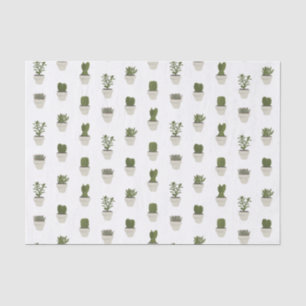 Papier Mousseline Cacti & Succulent - blanc - choisissez votre arriè