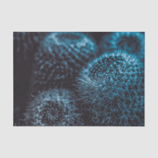 Papier Mousseline Cactus foncé (Recto)