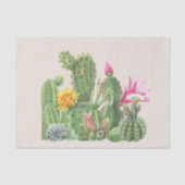 Papier Mousseline Cactus Garden Cactus Aquarelle sud-ouest (Recto)