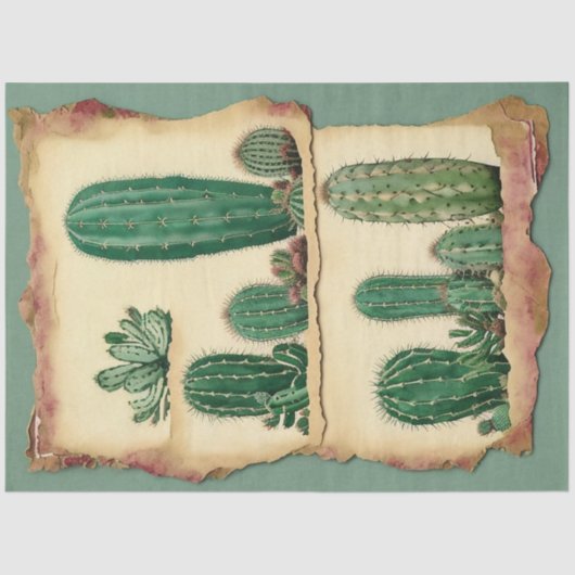 Papier Mousseline Cactus Plante Ephemera Collage Art No2 (Recto)
