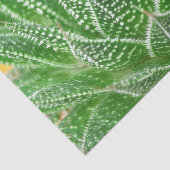 Papier Mousseline Cactus Succulent Plante Découpage botanique vert (Détail)