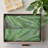 Papier Mousseline Cactus Succulent Plante Découpage botanique vert (Cadeau)