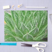 Papier Mousseline Cactus Succulent Plante Découpage botanique vert (Artisanat)