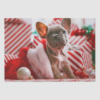 Papier Mousseline Cadeaux de chiot de Noël mignons