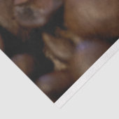 Papier Mousseline Café Beans Cuisine 20x30 Arrière - plan de découpa (Détail)