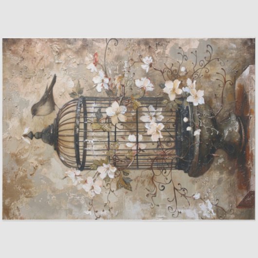 Papier Mousseline cage aux oiseaux du Vieux Monde (Recto)