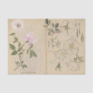 Papier Mousseline Cahier de croquis Pl. 107 par Ariyoshi Kondo