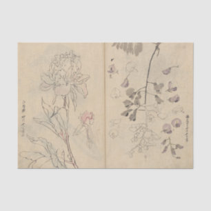 Papier Mousseline Cahier de croquis Pl. 110 par Ariyoshi Kondo