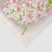 Papier Mousseline Calanthe Regnieri (Orchidée) par Jean Jules Linden (Détail)